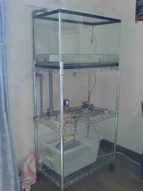 ������������Ver.2