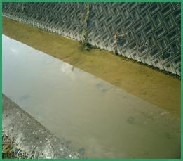 �����n�_�@