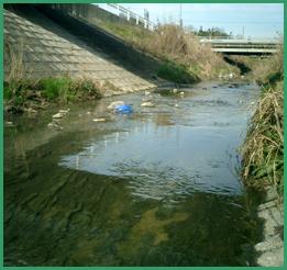 �����n�_�A