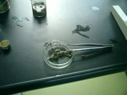 �������ώ@�̗l�q