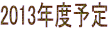 2013年度予定