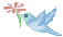 ̕