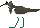 C\VM