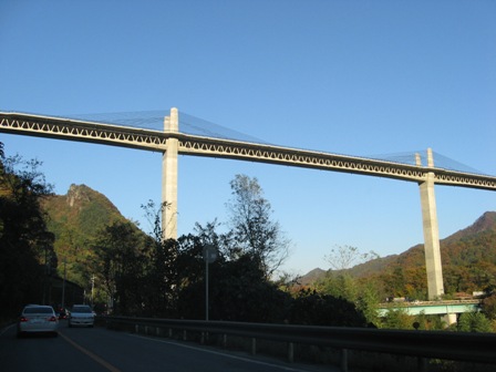 쌴ɂ