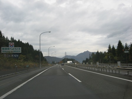 Vւ悤