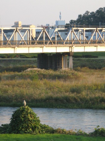 uȂv