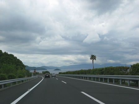 ÓcICOt