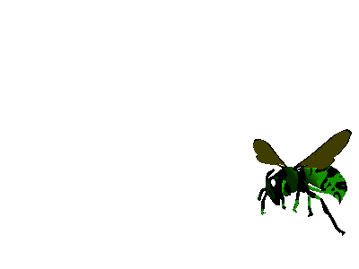 img-responsive
