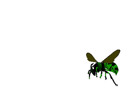 img-responsive