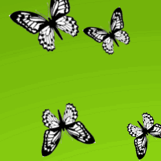 img-responsive