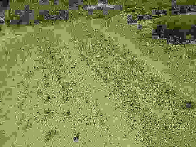 img-responsive