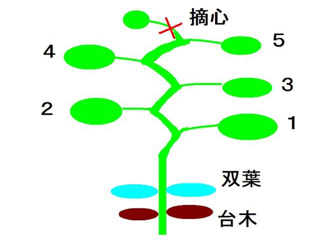 img-responsive