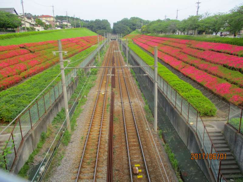 152px