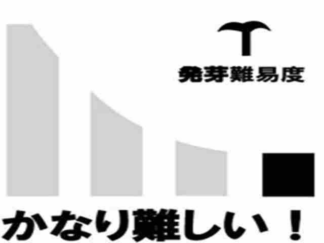 img-responsive