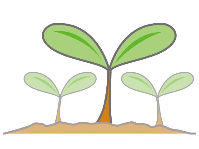 img-responsive