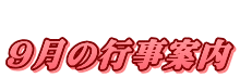  9̍sē