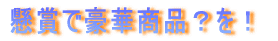 懸賞で豪華商品?を!