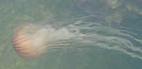 01061008.jpg (8126 oCg)
