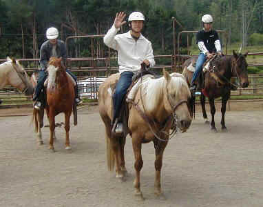 horse1.JPG (34907 oCg)