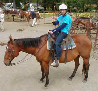 horse2.JPG (32203 oCg)