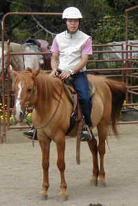 horse5.JPG (22559 oCg)