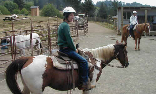 horse6.JPG (44691 oCg)