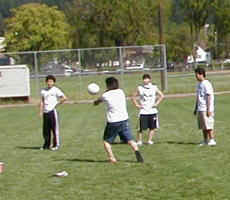 volley3.JPG (18995 oCg)