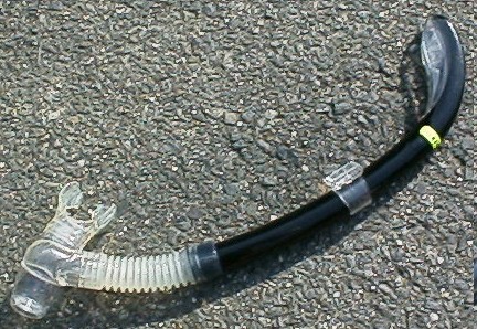snorkel.jpg (77053 oCg)