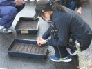 : : S:\kyokunan-hp\diary\h250507_2.JPG
