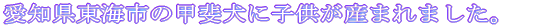mCs̍b㌢ɎqY܂܂B 