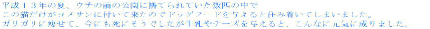 PRN̉āAE`̑ǑɎ̂ĂĂC̒ ̔LTɕtė̂ŃhbOt[h^ƏZݒĂ܂܂B KKɑāAɂɂł`[Y^ƁAȂɌCɐ܂B