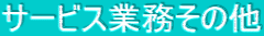 T[rXƖ̑