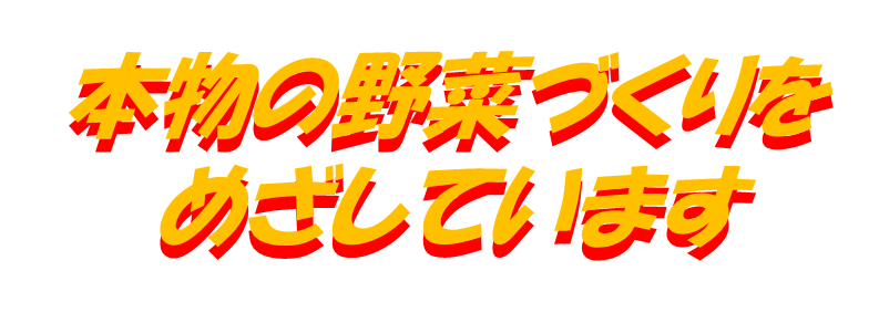 本物の野菜づくりをめざしています