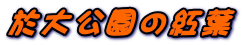 ̍gt 