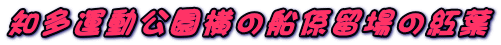 m^̑DW̍gt
