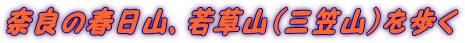 ޗǂ̏tRAᑐRiO}Rj 