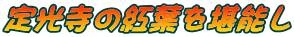 ̍gt\
