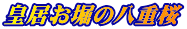 cx̔d