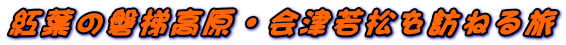 gt̔֒򍂌EÎᏼK˂闷
