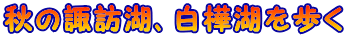 H̐zK΁A΂
