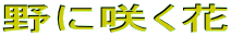 ɍ炭
