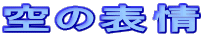 ̕\
