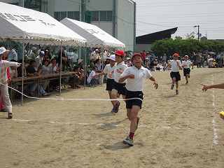 6年生 徒競走