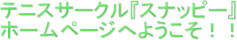 ejXT[NwXibs[x
z[y[Wւ悤II