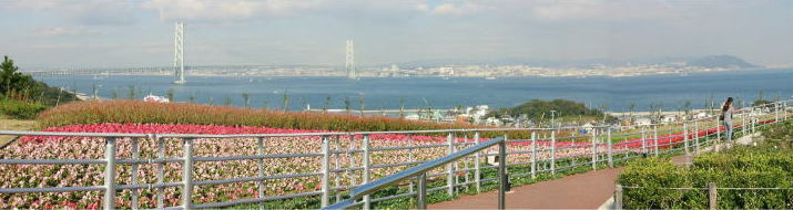WHr`疾ΊC勴]