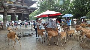 奈良東大寺南大門