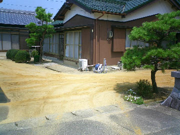 Tv摜