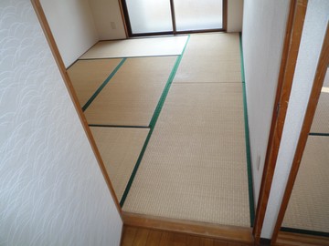 Tv摜