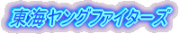 ���C�����O�t�@�C�^�[�Y