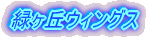 ���C�����O�t�@�C�^�[�Y